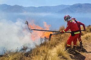 los incendios forestales