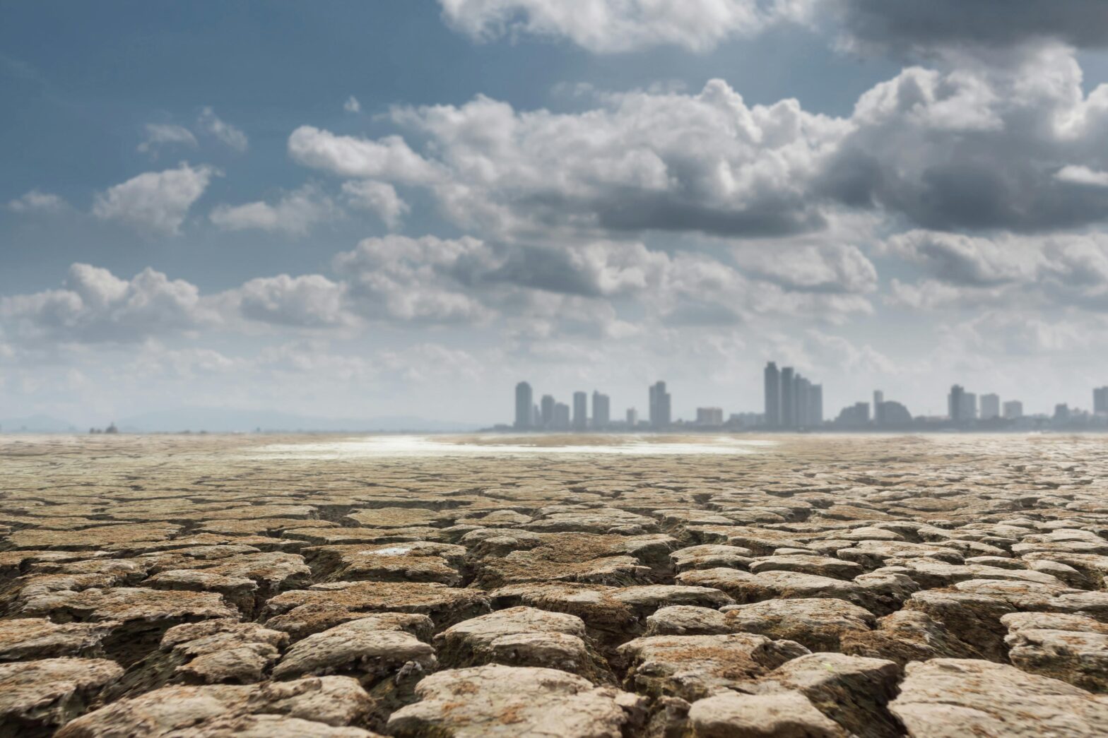 emergencia climática - jorge zegarra reategui