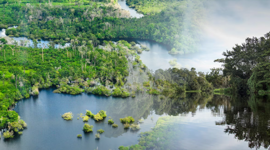 Amazonía