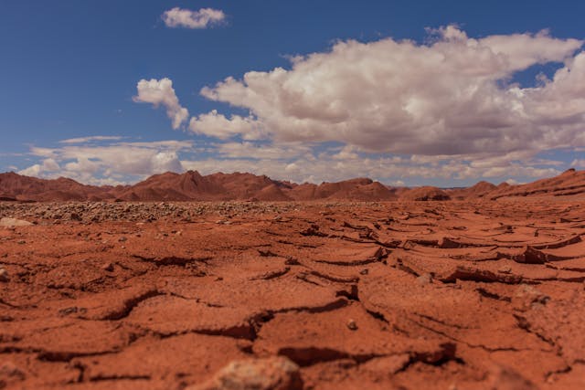 calor extremo y sequía
