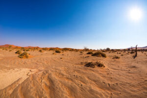 desiertos del planeta