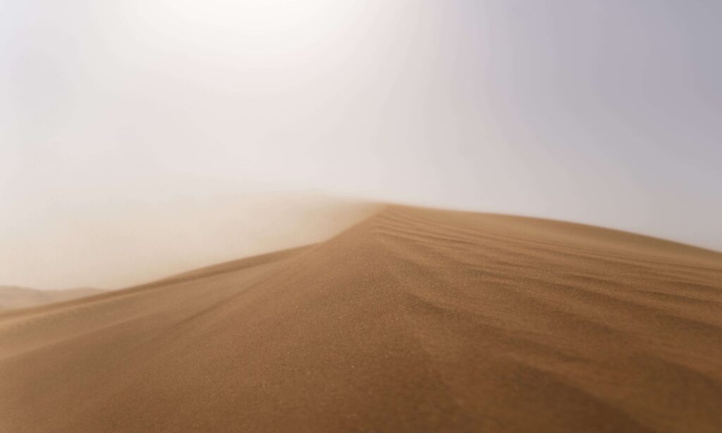 polvo del desierto