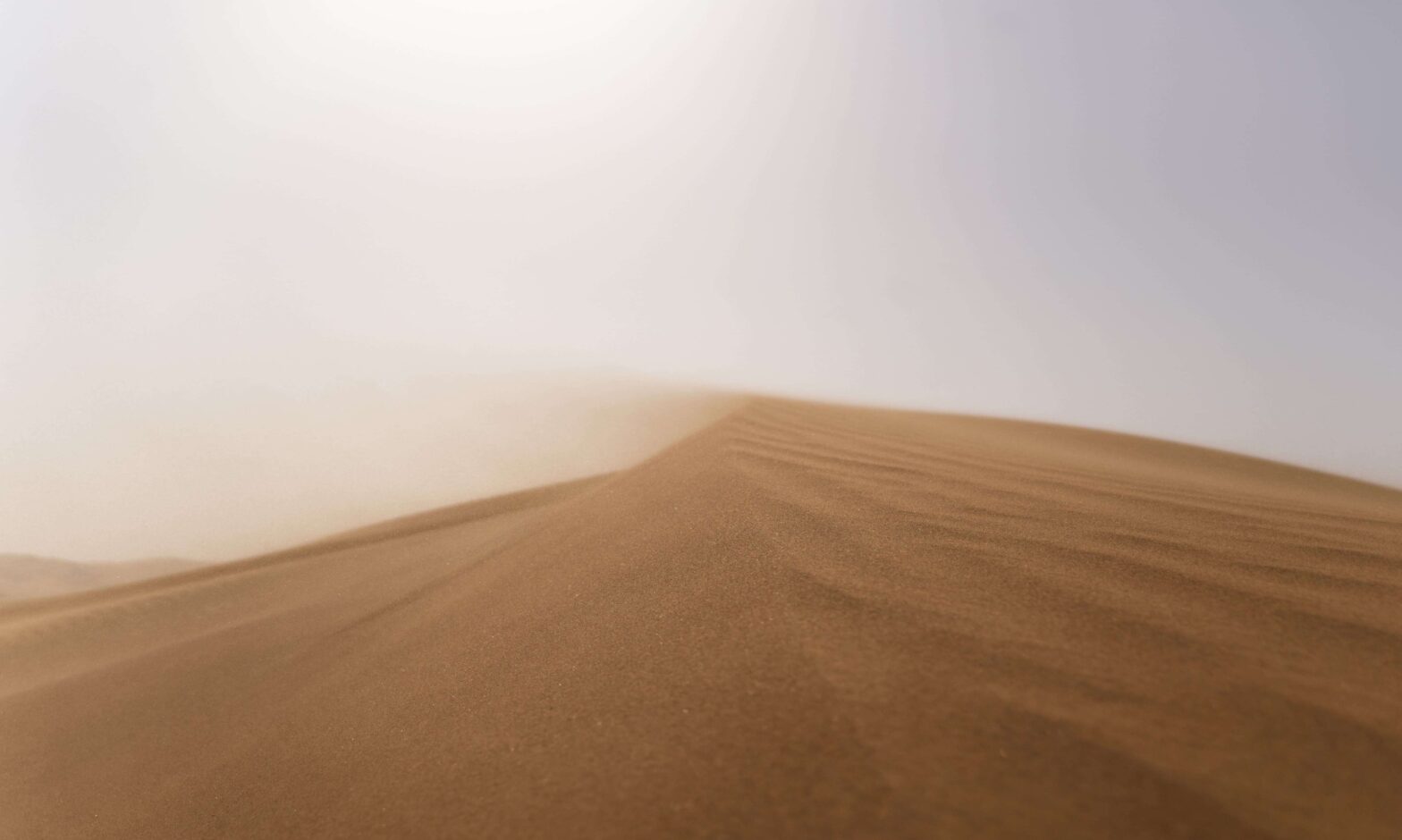 polvo del desierto